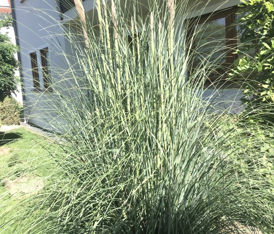 Aussenbereich vor der Ferienwohnung Aussenbereich vor der Ferienwohnung