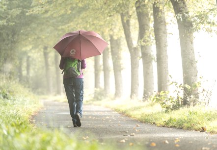 Regenwetter Regenwetter