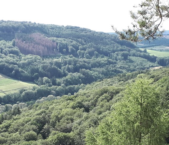 Delux Wanderweg 2 Delux Wanderweg 2