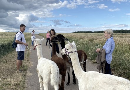 Titel individuelle Erlebnisse Titel individuelle Erlebnisse