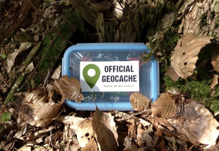 Geocache am Waldboden Geocache am Waldboden