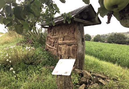 Ein Insektenhotel aus Holz und Lehm steht am Rand eines grünen Feldes. Eine Infotafel informiert über das Hotel. Im Vordergrund blühende Pflanzen., © TI Bitburger Land M.Mayer Ein Insektenhotel aus Holz und Lehm steht am Rand eines grünen Feldes. Eine Infotafel informiert über das Hotel. Im Vordergrund blühende Pflanzen., © TI Bitburger Land M.Mayer