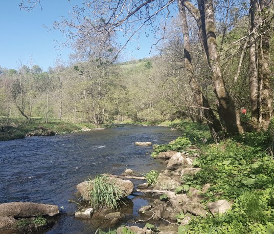 Kyll fietspad Speicherer Mühle, © Uschi Hallet- Tourist-Information Bitburger Land Kyll fietspad Speicherer Mühle, © Uschi Hallet- Tourist-Information Bitburger Land