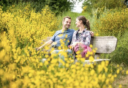 A couple sits smiling on a wooden bench, surrounded by blooming yellow broom in a green landscape., © Eifel Tourismus GmbH, Dominik Ketz A couple sits smiling on a wooden bench, surrounded by blooming yellow broom in a green landscape., © Eifel Tourismus GmbH, Dominik Ketz