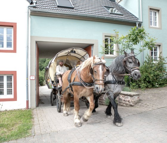 Planwaganfahrt©Nengshof (2), © Carsten Lenz, Nengshof Planwaganfahrt©Nengshof (2), © Carsten Lenz, Nengshof