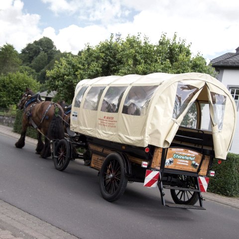 Planwagenfahrt Planwagenfahrt