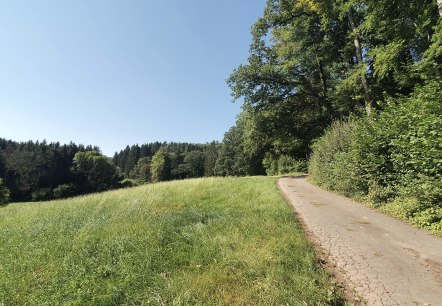 A narrow path runs along the edge of a forest, surrounded by green meadows and trees. The sky is clear and blue., © Tourist-Information Bitburger Land A narrow path runs along the edge of a forest, surrounded by green meadows and trees. The sky is clear and blue., © Tourist-Information Bitburger Land