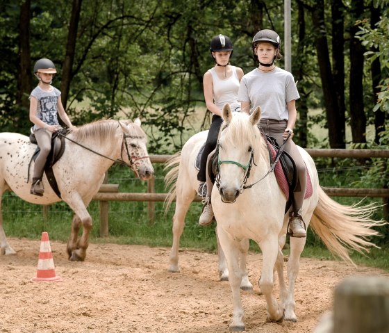 Nengshof-7451 Nengshof-7451