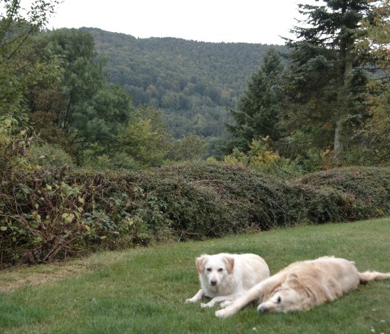 Terrasse7-930 Terrasse7-930