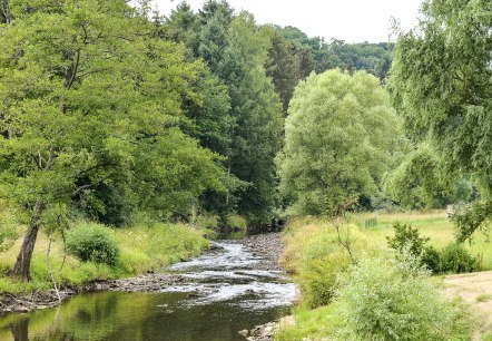 Une petite rivière serpente à travers un paysage verdoyant d'arbres et de prairies. Le ciel est nuageux et l'eau reflète la verdure environnante., © TI Bitburger Land Une petite rivière serpente à travers un paysage verdoyant d'arbres et de prairies. Le ciel est nuageux et l'eau reflète la verdure environnante., © TI Bitburger Land
