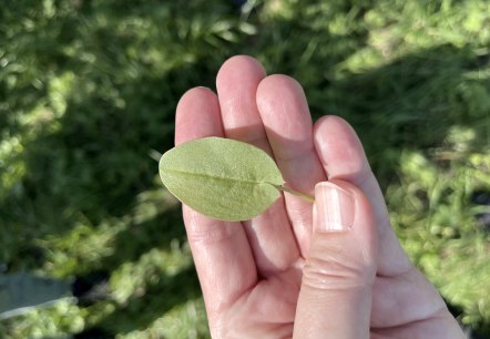 Fit in den Frühling, © TI Bitburger Land Fit in den Frühling, © TI Bitburger Land