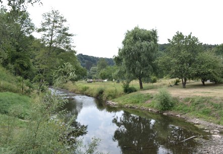 Ein kleiner Fluss fließt durch eine grüne Landschaft mit Bäumen und Wiesen in Wißmannsdorf., © TI Bitburger Land Ein kleiner Fluss fließt durch eine grüne Landschaft mit Bäumen und Wiesen in Wißmannsdorf., © TI Bitburger Land