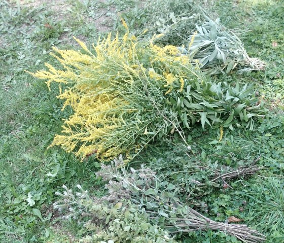 Krautwisch, © Melanie Salzburger Krautwisch, © Melanie Salzburger