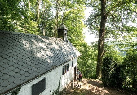 Wunder am Wegesrand, © Eifel Tourismus GmbH, Dominik Ketz Wunder am Wegesrand, © Eifel Tourismus GmbH, Dominik Ketz