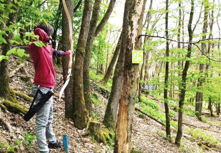 Bogenschütze, © TI Bitburger Land Bogenschütze, © TI Bitburger Land