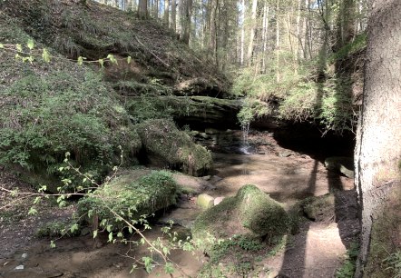Ein kleiner Wasserfall im Wald, umgeben von Moos und Bäumen, mit Sonnenlicht, das durch die Blätter fällt., © B. Milbach Ein kleiner Wasserfall im Wald, umgeben von Moos und Bäumen, mit Sonnenlicht, das durch die Blätter fällt., © B. Milbach