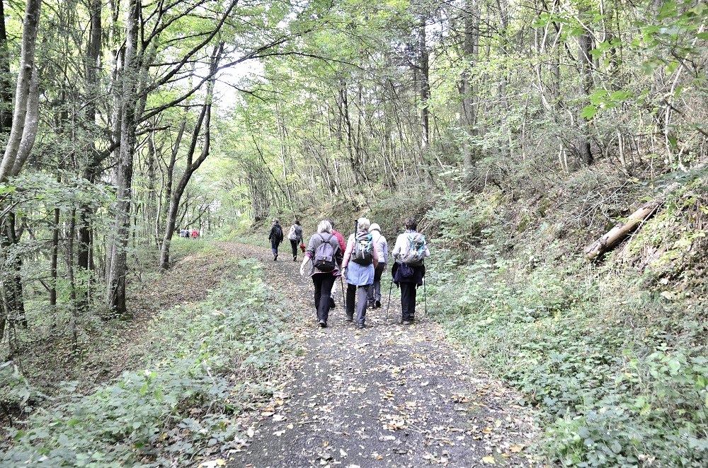 Hiker, © TI Bitburger Land Hiker, © TI Bitburger Land