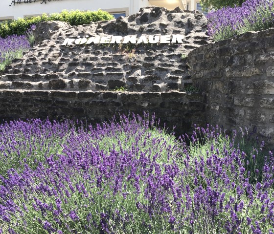 Lavendelgarten an der Römermauer, © TI Bitburger Land - Steffi Wagner Lavendelgarten an der Römermauer, © TI Bitburger Land - Steffi Wagner