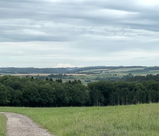 Paysage verdoyant de prairies, de forêts et de champs sous un ciel nuageux. Un chemin traverse la prairie., © Daniel Köhler Paysage verdoyant de prairies, de forêts et de champs sous un ciel nuageux. Un chemin traverse la prairie., © Daniel Köhler
