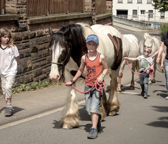 Nengshof-7124 Nengshof-7124