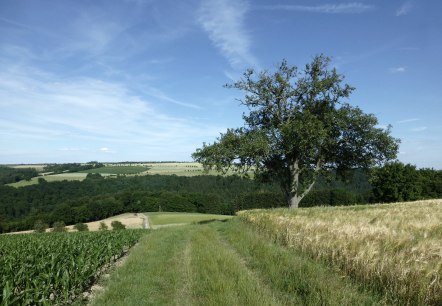 Een droomplek om te picknicken en te genieten, © NaturAktivErleben Een droomplek om te picknicken en te genieten, © NaturAktivErleben