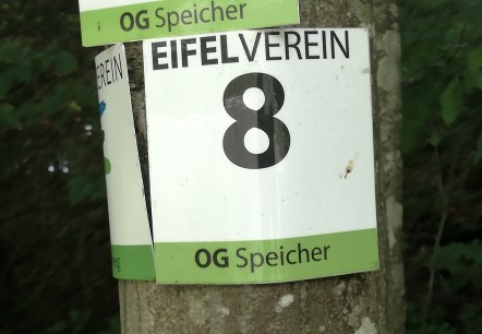 An Eifelverein sign with the number 8 and the inscription 'OG Speicher' is attached to a tree., © Tourist-Information Bitburger Land An Eifelverein sign with the number 8 and the inscription 'OG Speicher' is attached to a tree., © Tourist-Information Bitburger Land
