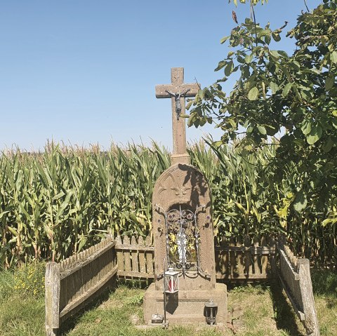A stone cross with a figure of Jesus stands in front of a cornfield, surrounded by trees and a wooden fence. The sky is clear and blue., © TI Bitburger Land A stone cross with a figure of Jesus stands in front of a cornfield, surrounded by trees and a wooden fence. The sky is clear and blue., © TI Bitburger Land