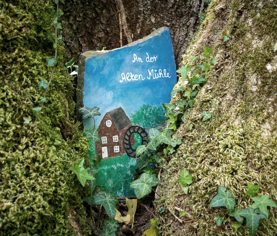 Une pierre peinte représentant un moulin et l'inscription 'In der Alten Mühle' est encastrée dans l'écorce d'un arbre, entourée de mousse et de lierre., © TI Bitburger Land Une pierre peinte représentant un moulin et l'inscription 'In der Alten Mühle' est encastrée dans l'écorce d'un arbre, entourée de mousse et de lierre., © TI Bitburger Land