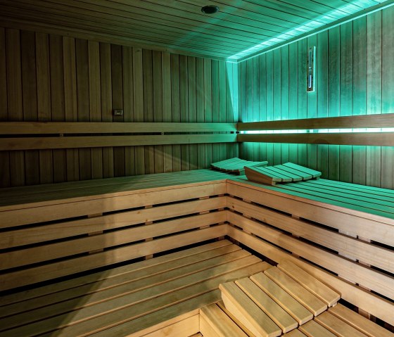 sauna_008 sauna_008