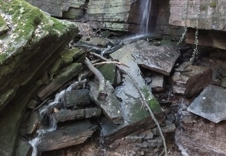 Een kleine waterval stroomt over met mos bedekte rotsen in een bebost gebied. De grond is bedekt met bladeren en takken., © TI Bitburger Land Een kleine waterval stroomt over met mos bedekte rotsen in een bebost gebied. De grond is bedekt met bladeren en takken., © TI Bitburger Land