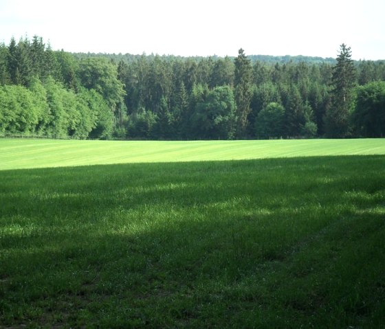 Herrliches Grün Herrliches Grün