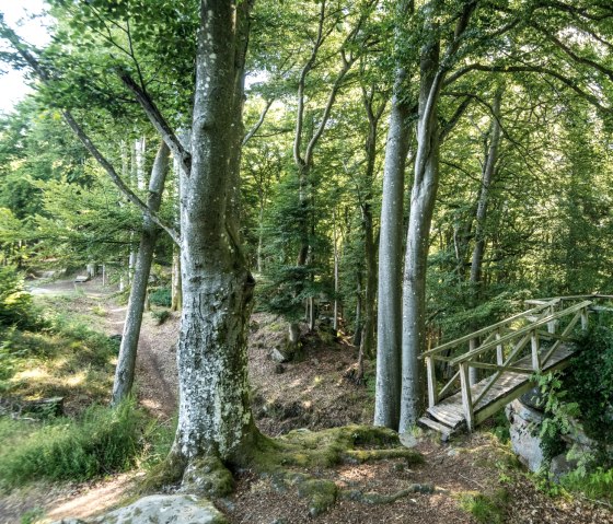 Sentier de randonnée idyllique à l'abbaye de Schankweiler sur le Klausnerweg, © Eifel Tourismus GmbH, D. Ketz Sentier de randonnée idyllique à l'abbaye de Schankweiler sur le Klausnerweg, © Eifel Tourismus GmbH, D. Ketz