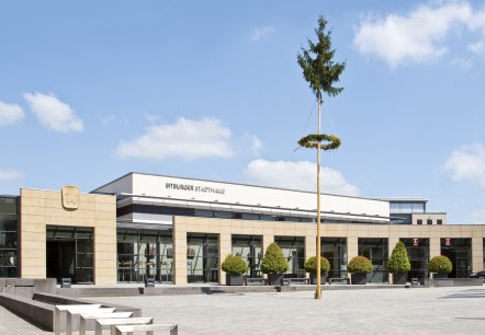 Maibaum vor der Stadthalle Maibaum vor der Stadthalle