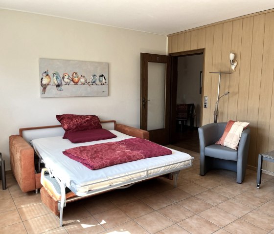 Schlafcouch im Wohnzimmer Schlafcouch im Wohnzimmer