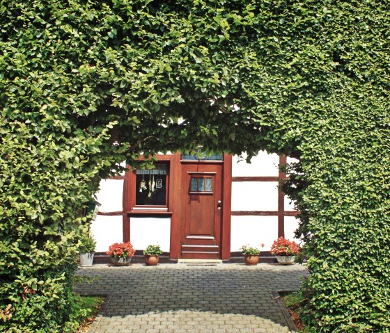 Hedges in the northern Eifel Hedges in the northern Eifel