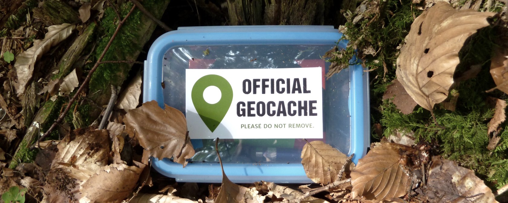 Geocache am Waldboden Geocache am Waldboden