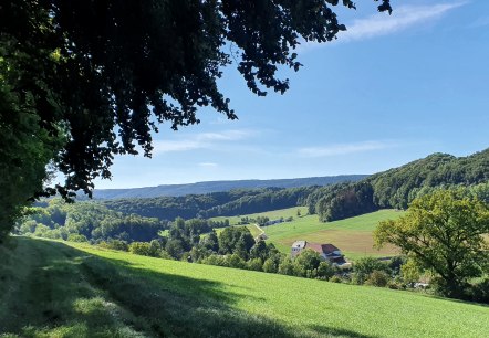 Vue panoramique de la vallée de l'Enz avec des prairies vertes, des forêts et une ferme sous un ciel bleu. Ombre d'arbres au premier plan., © TI BItburger Land - Steffi Wagner Vue panoramique de la vallée de l'Enz avec des prairies vertes, des forêts et une ferme sous un ciel bleu. Ombre d'arbres au premier plan., © TI BItburger Land - Steffi Wagner