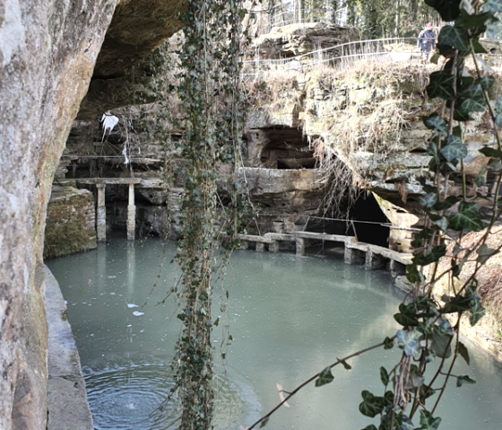 2021-12-15 22_05_48- Felsenweier Ernzen Window 2021-12-15 22_05_48- Felsenweier Ernzen Window