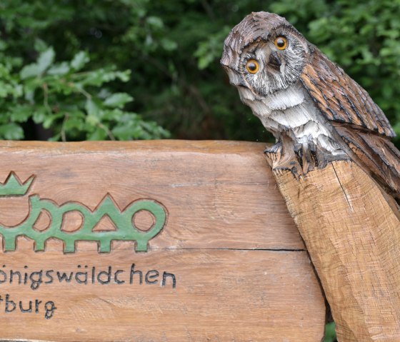 Königswäldchen Hilfsgeräteroute(C)Ti Bitburger Land_MM (3), © TI Bitburger Land Königswäldchen Hilfsgeräteroute(C)Ti Bitburger Land_MM (3), © TI Bitburger Land