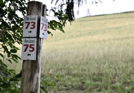 Signpost in the Southern Eifel Nature Park showing the numbers 73 and 75. A field and a raised hide can be seen in the background., © TI Bitburger Land Signpost in the Southern Eifel Nature Park showing the numbers 73 and 75. A field and a raised hide can be seen in the background., © TI Bitburger Land