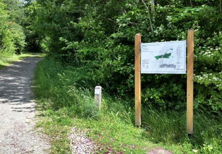 A shady forest path leads through lush greenery. On the right is a large information sign with a map. The path is lined with trees., © Tourist-Information Bitburger Land A shady forest path leads through lush greenery. On the right is a large information sign with a map. The path is lined with trees., © Tourist-Information Bitburger Land