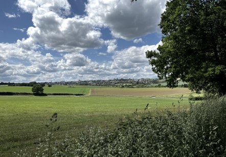 Weite grüne Felder unter einem bewölkten Himmel, im Vordergrund Bäume und Gräser, im Hintergrund eine Stadtansicht., © TI Bitburger Land Weite grüne Felder unter einem bewölkten Himmel, im Vordergrund Bäume und Gräser, im Hintergrund eine Stadtansicht., © TI Bitburger Land