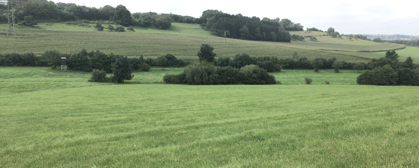 Groene weiden en velden strekken zich uit tot aan de horizon, omzoomd met bomen en een hoge schuilhut, onder een bewolkte hemel., © Tourist-Info Bitburger Land M.Mayer Groene weiden en velden strekken zich uit tot aan de horizon, omzoomd met bomen en een hoge schuilhut, onder een bewolkte hemel., © Tourist-Info Bitburger Land M.Mayer