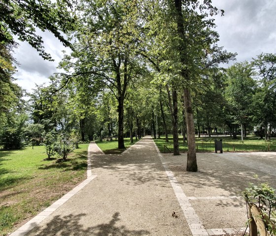 A shady path leads through the Maximiner Wäldchen in Bitburg, surrounded by tall trees and green lawns., © TI Bitburger Land A shady path leads through the Maximiner Wäldchen in Bitburg, surrounded by tall trees and green lawns., © TI Bitburger Land