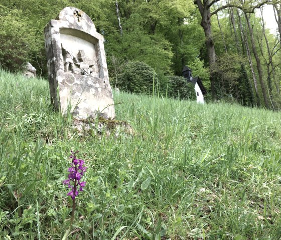 Kreuzweg Einsiedelei, © Tourist-Information Bitburger Land Kreuzweg Einsiedelei, © Tourist-Information Bitburger Land