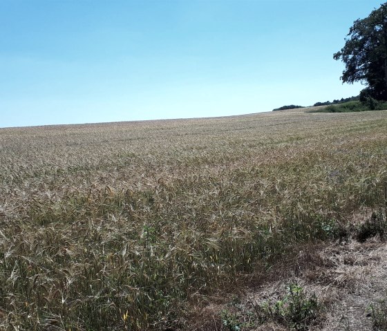 Delux Wanderweg 3 Delux Wanderweg 3