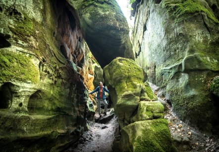 Rocher dans la Gorge du Diable, © Eifel Tourismus GmbH, D. Ketz Rocher dans la Gorge du Diable, © Eifel Tourismus GmbH, D. Ketz