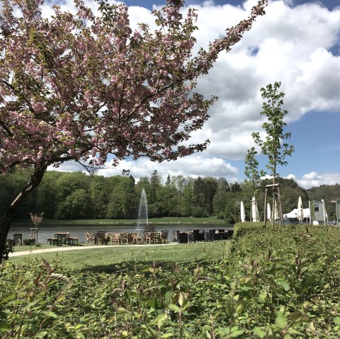 Stausee Bitburg - Start der Wanderung, © TI Bitburger Land Stausee Bitburg - Start der Wanderung, © TI Bitburger Land