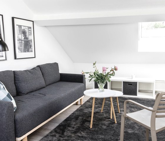 Ausziehcouch (2 Personen) Ausziehcouch (2 Personen)