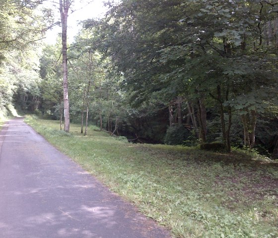 Chemin goudronné à travers une forêt verdoyante dans la vallée de Kallenbach, Philippsheim. Des arbres et de l'herbe bordent le chemin qui mène au loin., © TI Bitburger Land Chemin goudronné à travers une forêt verdoyante dans la vallée de Kallenbach, Philippsheim. Des arbres et de l'herbe bordent le chemin qui mène au loin., © TI Bitburger Land